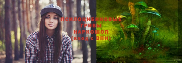 гидра Алексин