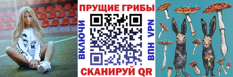 Псилоцибиновые грибы Psilocybe  как найти   Луга 